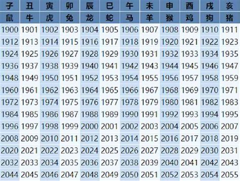 属马2023年几岁|2023年属马的年龄对照表 属马的年龄表2023年多大